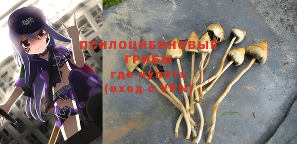 винт Рославль