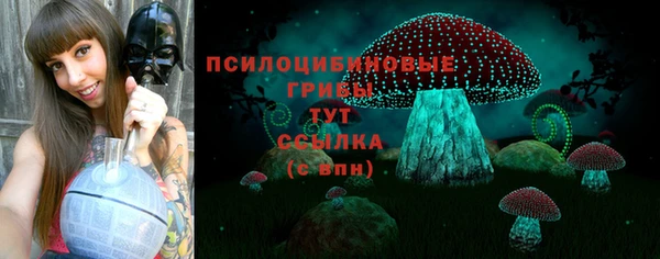 винт Рославль